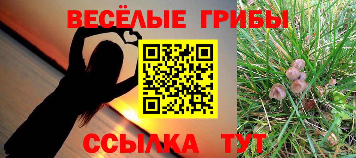 Галлюциногенные грибы ЛСД Краснокаменск