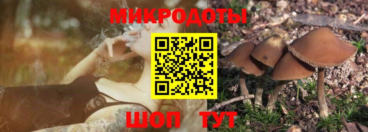 Краснокаменск  Галлюциногенные грибы Cubensis  Вход с VPN  Псилоцибиновые грибы прущие грибы 