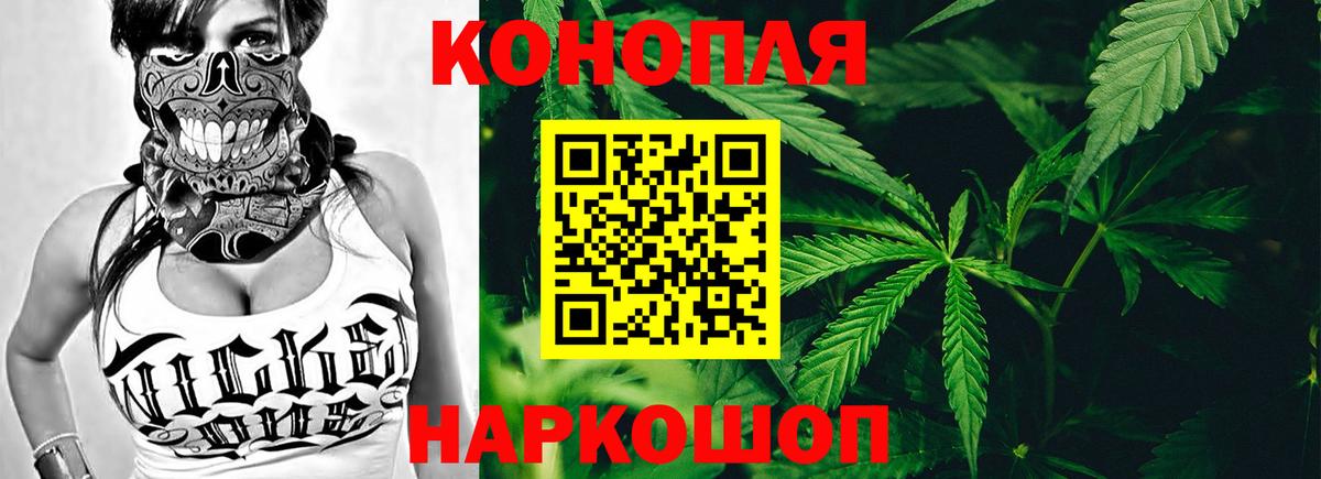 Канабис White Widow  Бошки Шишки план  Бошки Шишки тримм  Краснокаменск  Вход с VPN 